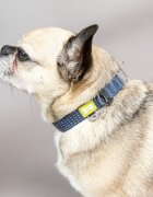 Built Светлоотразителен нашийник за куче малък размер син - Pet