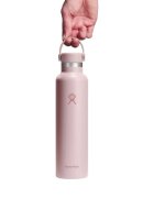 Hydro Flask Термоизолирана бутилка неръждаема стомана 710 мл "Standard" Trilli