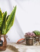 Kitchen Craft Буркан от стъкло 750 мл - от