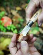 Opinel Джобен нож N°07 неръждаема стомана 4см "Nomad Cooking" -