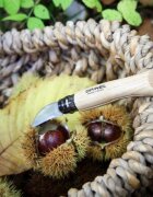 Opinel Джобен нож N°07 неръждаема стомана 4см "Nomad Cooking" -