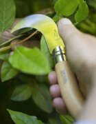 Opinel Градински нож N°10 неръждаема стомана 10см -
