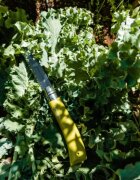 Opinel Комплект градински ножове от 3 части неръждаема стомана -