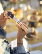 Opinel Комплект прибори за пикник от 2 части неръждаема стомана "Picnic Plu