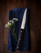 Opinel Комплект трапезни ножове от 4 части неръждаема стомана 11 см "Facet
