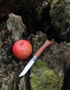 Opinel N°08 джобно ножче неръждаема стомана 85 см "Tradition Luxe" Walnu