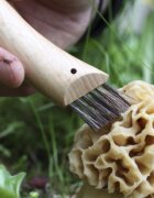 Opinel N°08 Нож за гъби неръждаема стомана 8 см -