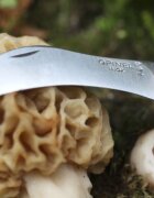 Opinel N°08 Нож за гъби неръждаема стомана 8 см -