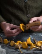Opinel N°08 Нож за гъби неръждаема стомана 8 см -