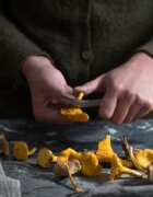 Opinel N°08 Нож за гъби неръждаема стомана 8 см -