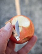 Opinel Нож ключодържател N°02 неръждаема стомана 35 см "Tradition Inox"