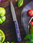 Opinel Нож с назъбено острие N°113 неръждаема стомана 10 см "Les Essentiel