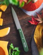 Opinel Нож за рязане N°112 неръждаема стомана 10 см "Les Essentiels" зеле