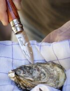 Opinel Нож за стриди N°09 неръждаема стомана 6.5cm "Nomad Cooking" Padouk