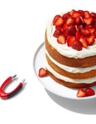 OXO Клещи за люспи за ягоди неръждаема стомана -
