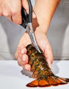 OXO Ножица за морски дарове неръждаема стомана 19 см "Good Grips" -