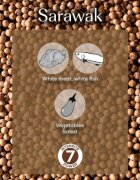 Peugeot Комплект 4 пакетчета бял пипер на зърна 4 × 20гр Sarawak Spices -