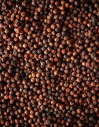 Peugeot Комплект от 3 сашета Кампот Червен пипер 3 × 20гр "SPICES" -