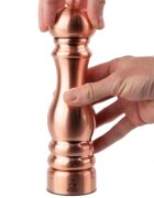 Peugeot Мелничка за сол неръждаема стомана 22 см "Paris Chef u'Select Z" C