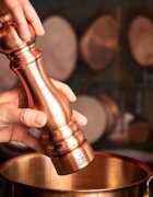 Peugeot Мелничка за сол неръждаема стомана 22 см "Paris Chef u'Select Z" C