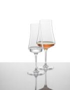 Schott Zwiesel Комплект от 6 чаши за коняк "Fine" 296 ml -