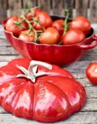 Staub Тенджера с форма на домат чугун 25 см/29л Cherry -