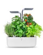 Veritable Кутия за цветя 33 x 185 x 45 cm "CONNECT Garden" Infinite Grey - V