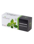 Veritable Пакет Lingot от семена от майорана –