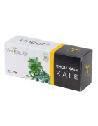 Veritable Пакет Lingot от семена от зеле –