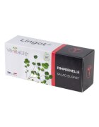 Veritable Пакет семена "Lingot" Бърнет салата -