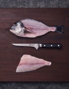 Zwilling Нож за филе 14 см << Pro>> -