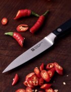 Zwilling Нож за зеленчуци и плодове 10 см <<Professional S>> -
