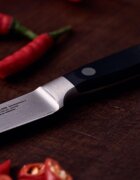 Zwilling Нож за зеленчуци и плодове 10 см <<Professional S>> -