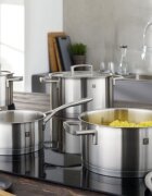 Zwilling Тенджера от неръждаема стомана с капак 16 см/1.5л "Vitality" - Zwil