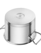 Zwilling Тенджера с капак неръждаема стомана 20 см/35 л "Pro S" -