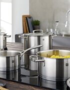 Zwilling Тенджера за готвене с капак неръждаема стомана 20 см/3L <<Vitality>