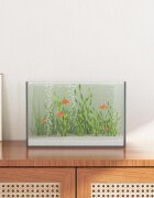 vidaXL Аквариум със съхранение Прозрачен 30 x 20 x 20 см Стъкло
