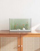 vidaXL Аквариум със съхранение Прозрачен 40 x 25 x 25 см Стъкло