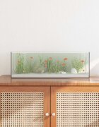 vidaXL Аквариум със съхранение Прозрачен 60 x 20 x 20 см Стъкло