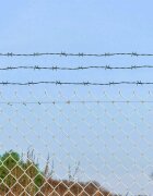 vidaXL Бодлива тел на ролка зелена 100 м