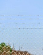 vidaXL Бодлива тел Сребрист 100 m Горещо поцинкована стомана
