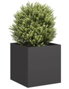 vidaXL Черна саксия 40x40x40 cm Студено валцувана стомана
