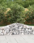 vidaXL Дъговидна габионна кошница 200x30x40/60 см поцинковано желязо