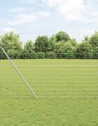 vidaXL Див ограда Горещо поцинковано 1000 x 160 x 018 см Желязо