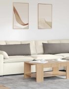 vidaXL Диван възглавници 2 бр. текстил Таупе 120 x 40 cm
