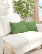vidaXL Диван възглавници 2 pcs Светлозелен 50 x 30 cm Кордюрова тъкан