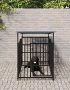 vidaXL Дворна клетка за кучета с покрив стомана 188 м²