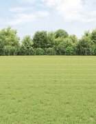 vidaXL Евро ограда с пост 25 x 08 m Поцинкована стомана Сребристо