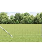 vidaXL Еврофендер с шипове 25 x 04 m Поцинкована стомана Сребристо