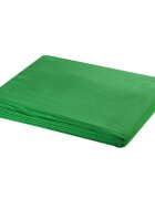 vidaXL Фотографски фон памук зелен без стойка 300х300 см Chroma Key
